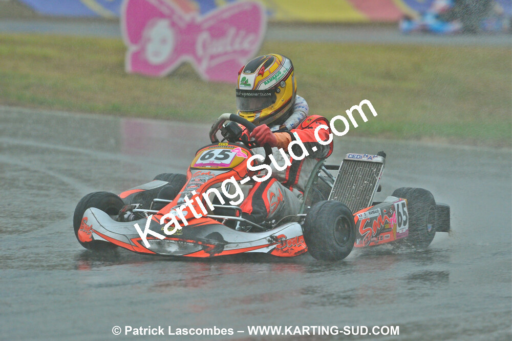 31/07 et 01/08/2010 : GPO Karting et Coupe de France X30 et X30 Gentlemen à Lyon (Photos Patrick Lascombes) 2010 — karting