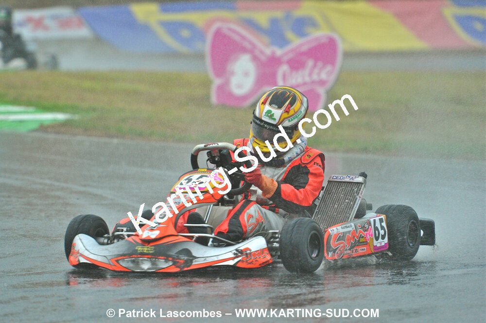 31/07 et 01/08/2010 : GPO Karting et Coupe de France X30 et X30 Gentlemen à Lyon (Photos Patrick Lascombes) 2010 — karting
