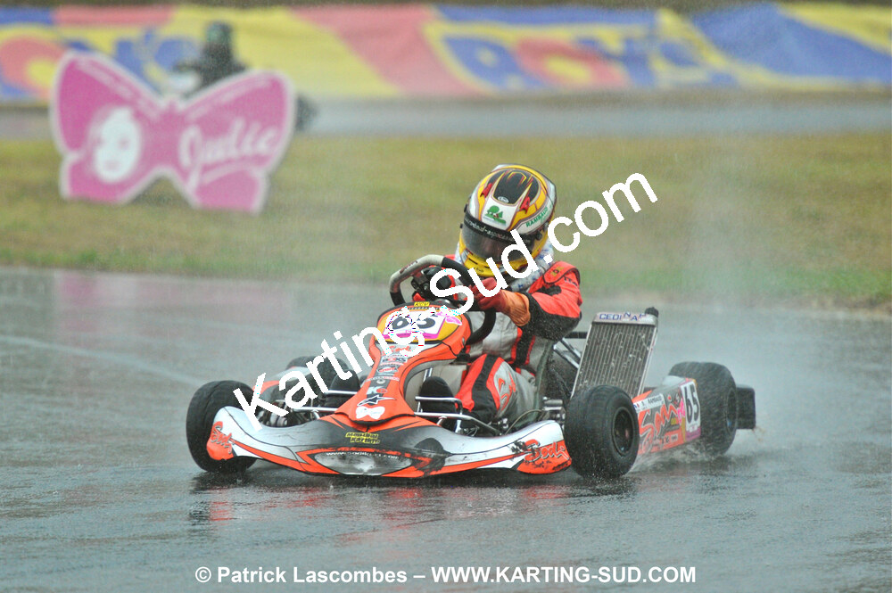 31/07 et 01/08/2010 : GPO Karting et Coupe de France X30 et X30 Gentlemen à Lyon (Photos Patrick Lascombes) 2010 — karting