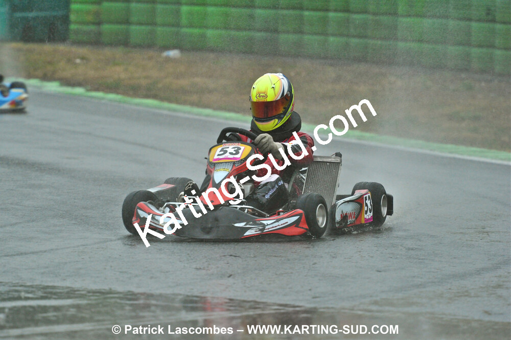 31/07 et 01/08/2010 : GPO Karting et Coupe de France X30 et X30 Gentlemen à Lyon (Photos Patrick Lascombes) 2010 — karting