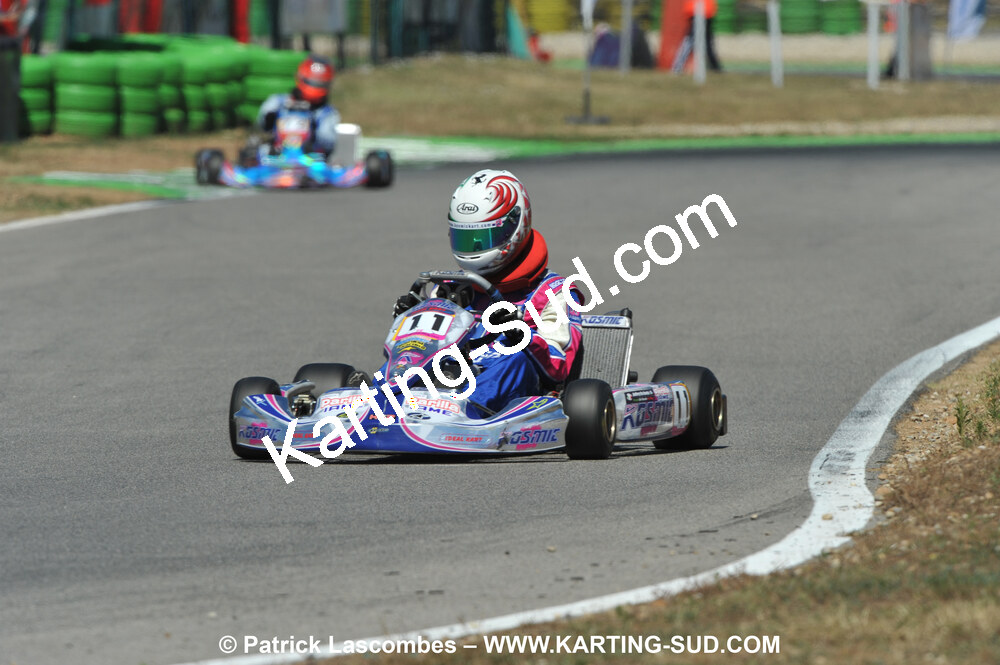 31/07 et 01/08/2010 : GPO Karting et Coupe de France X30 et X30 Gentlemen à Lyon (Photos Patrick Lascombes) 2010 — karting