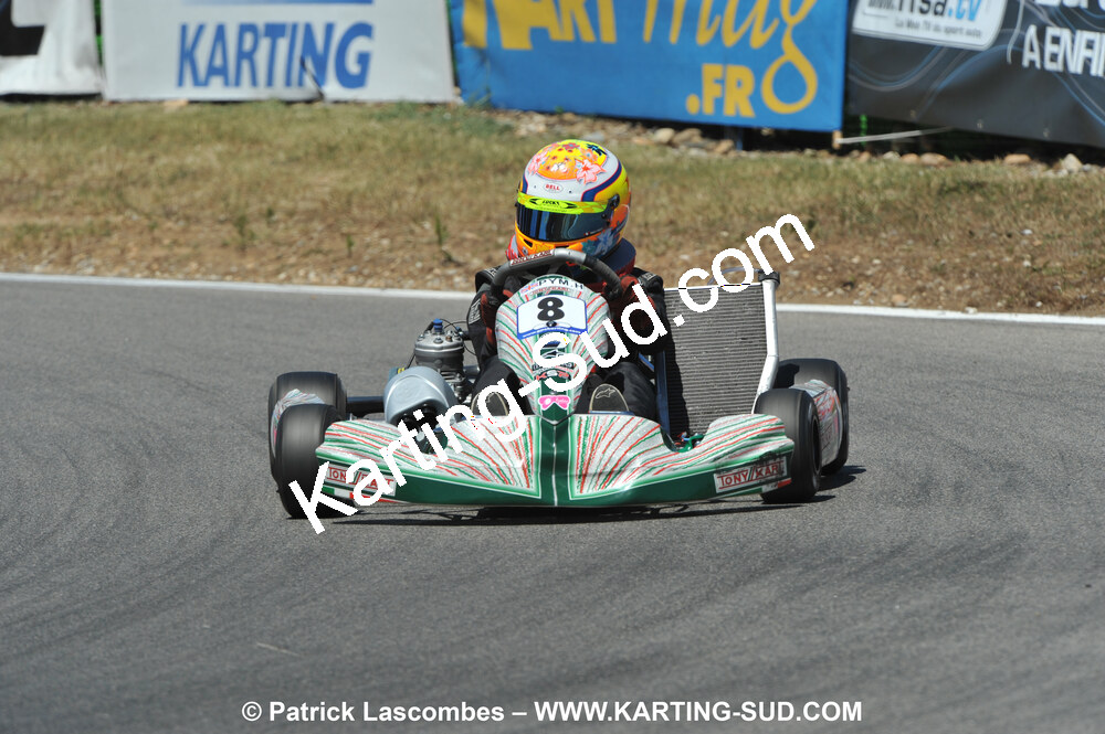 31/07 et 01/08/2010 : GPO Karting et Coupe de France X30 et X30 Gentlemen à Lyon (Photos Patrick Lascombes) 2010 — karting