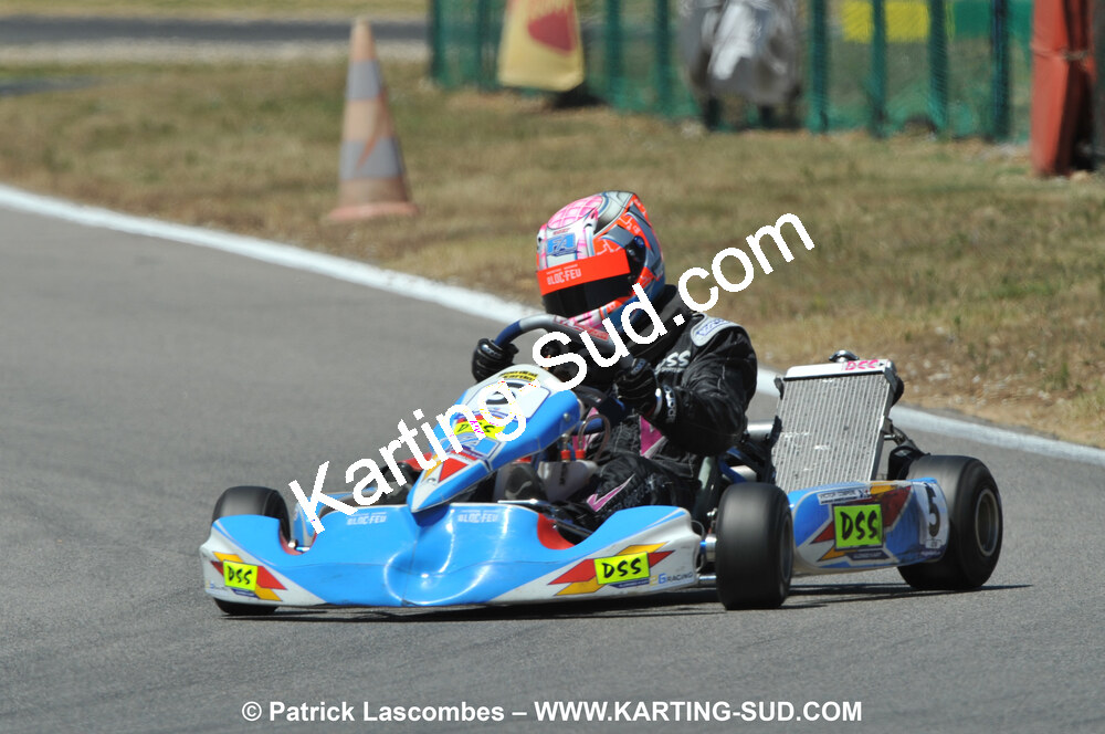 31/07 et 01/08/2010 : GPO Karting et Coupe de France X30 et X30 Gentlemen à Lyon (Photos Patrick Lascombes) 2010 — karting
