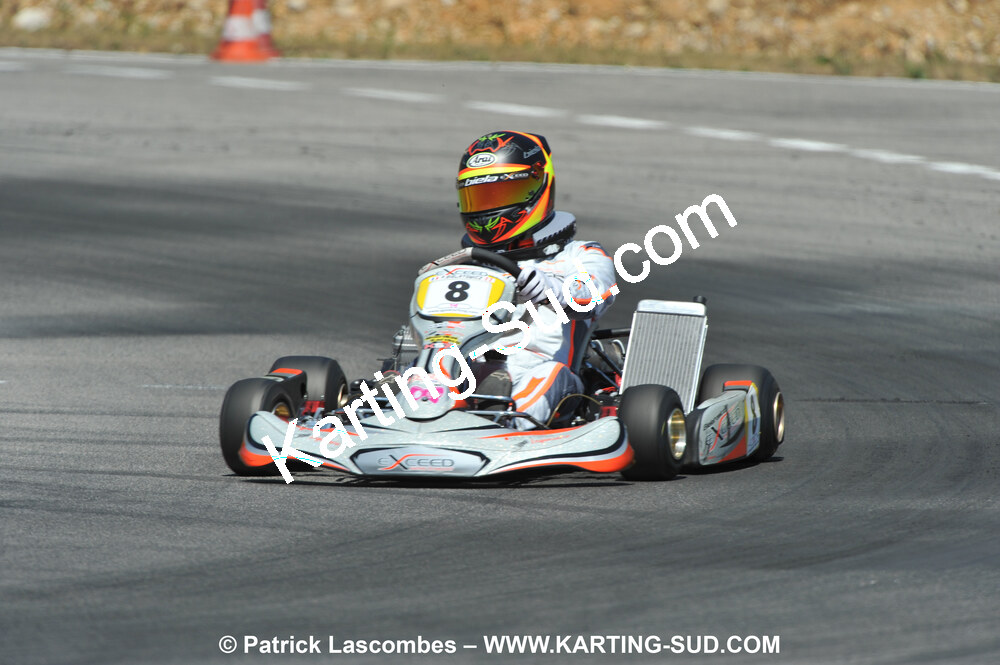 31/07 et 01/08/2010 : GPO Karting et Coupe de France X30 et X30 Gentlemen à Lyon (Photos Patrick Lascombes) 2010 — karting