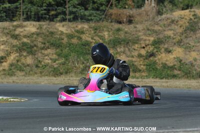 05/09/2010 : 5ème manche du Championnat Régional Open Atlantique 2010 à Layrac (photos Patrick Lascombes) 2010 — karting