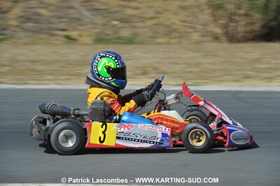 05/09/2010 : 5ème manche du Championnat Régional Open Atlantique 2010 à Layrac (photos Patrick Lascombes) 2010 — karting