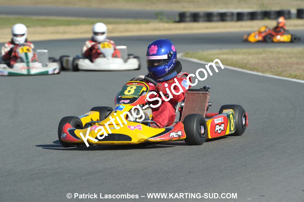 05/09/2010 : 5ème manche du Championnat Régional Open Atlantique 2010 à Layrac (photos Patrick Lascombes) 2010 — karting
