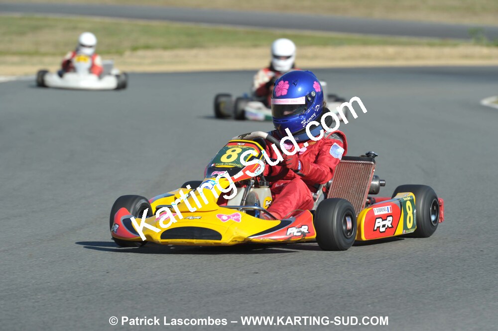 05/09/2010 : 5ème manche du Championnat Régional Open Atlantique 2010 à Layrac (photos Patrick Lascombes) 2010 — karting