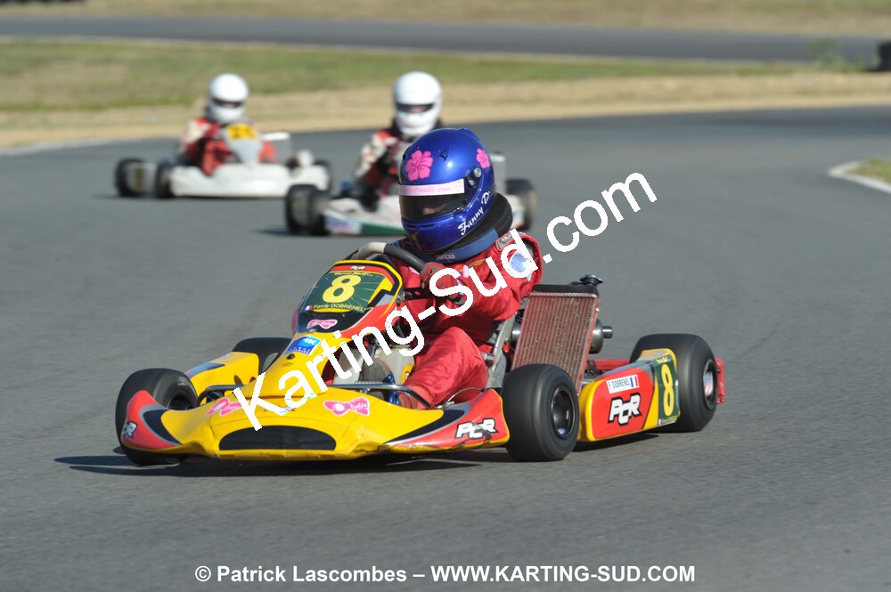 05/09/2010 : 5ème manche du Championnat Régional Open Atlantique 2010 à Layrac (photos Patrick Lascombes) 2010 — karting