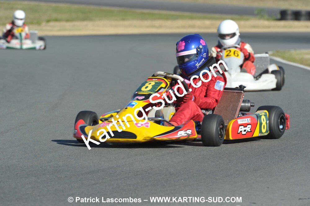 05/09/2010 : 5ème manche du Championnat Régional Open Atlantique 2010 à Layrac (photos Patrick Lascombes) 2010 — karting