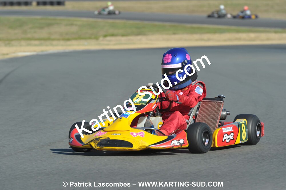 05/09/2010 : 5ème manche du Championnat Régional Open Atlantique 2010 à Layrac (photos Patrick Lascombes) 2010 — karting