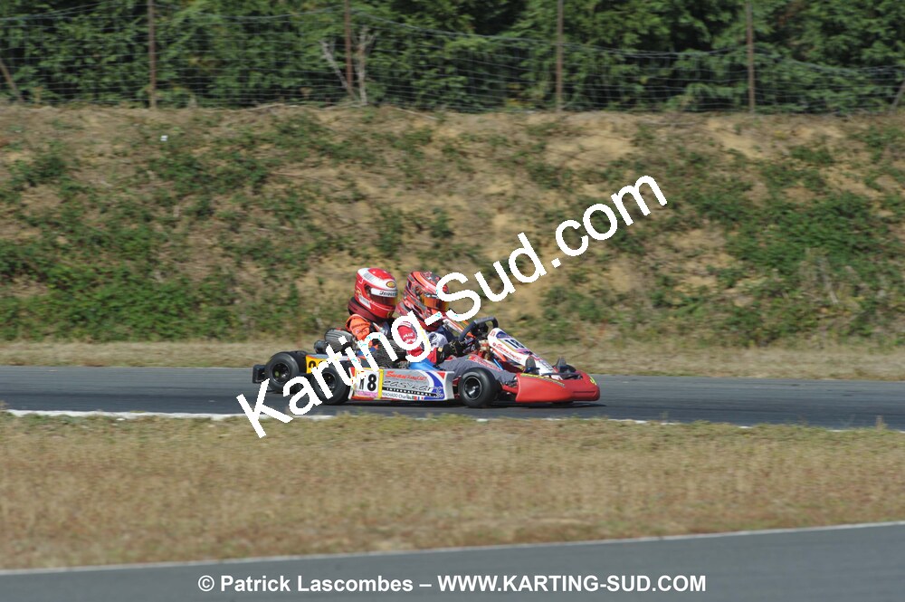 DSC_8930.JPG