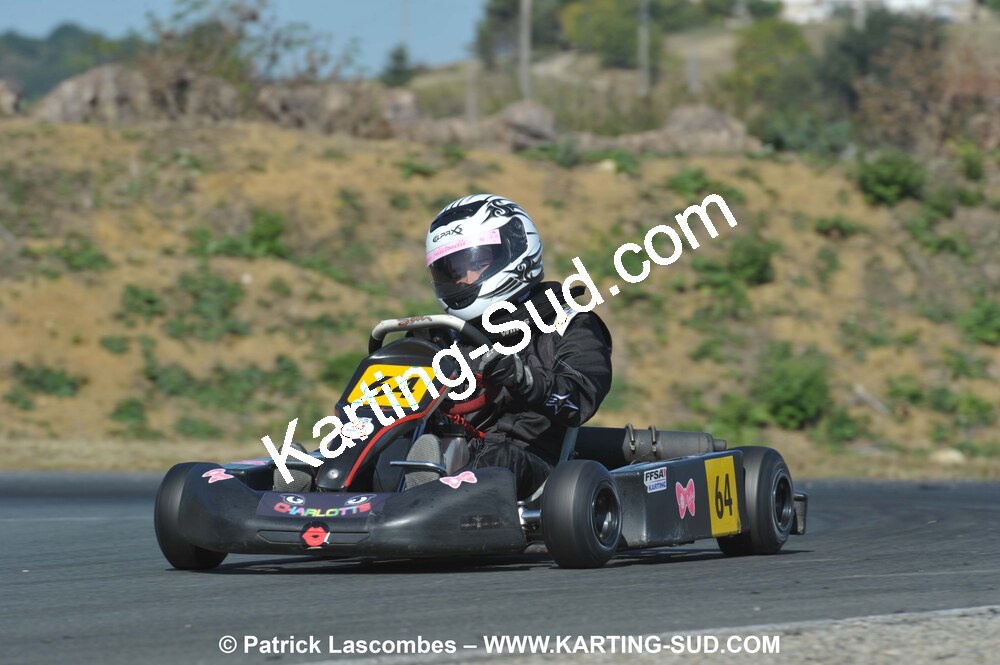 05/09/2010 : 5ème manche du Championnat Régional Open Atlantique 2010 à Layrac (photos Patrick Lascombes) 2010 — karting