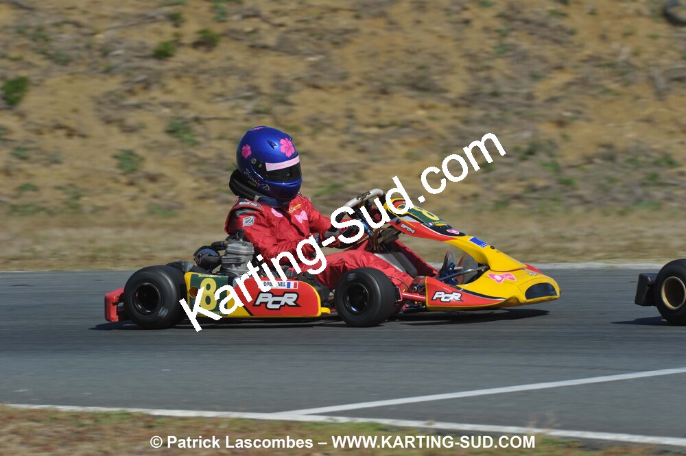 05/09/2010 : 5ème manche du Championnat Régional Open Atlantique 2010 à Layrac (photos Patrick Lascombes) 2010 — karting