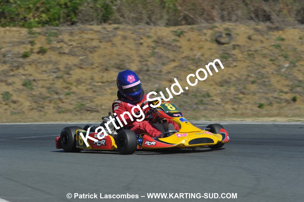 05/09/2010 : 5ème manche du Championnat Régional Open Atlantique 2010 à Layrac (photos Patrick Lascombes) 2010 — karting