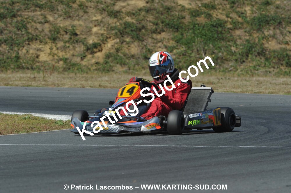DSC_9295.JPG