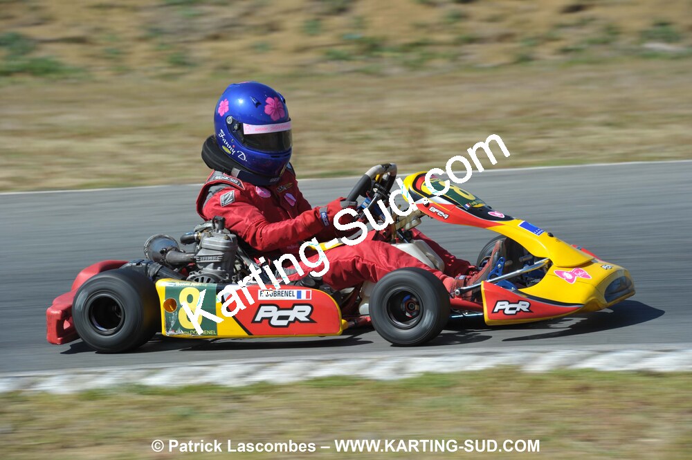 05/09/2010 : 5ème manche du Championnat Régional Open Atlantique 2010 à Layrac (photos Patrick Lascombes) 2010 — karting
