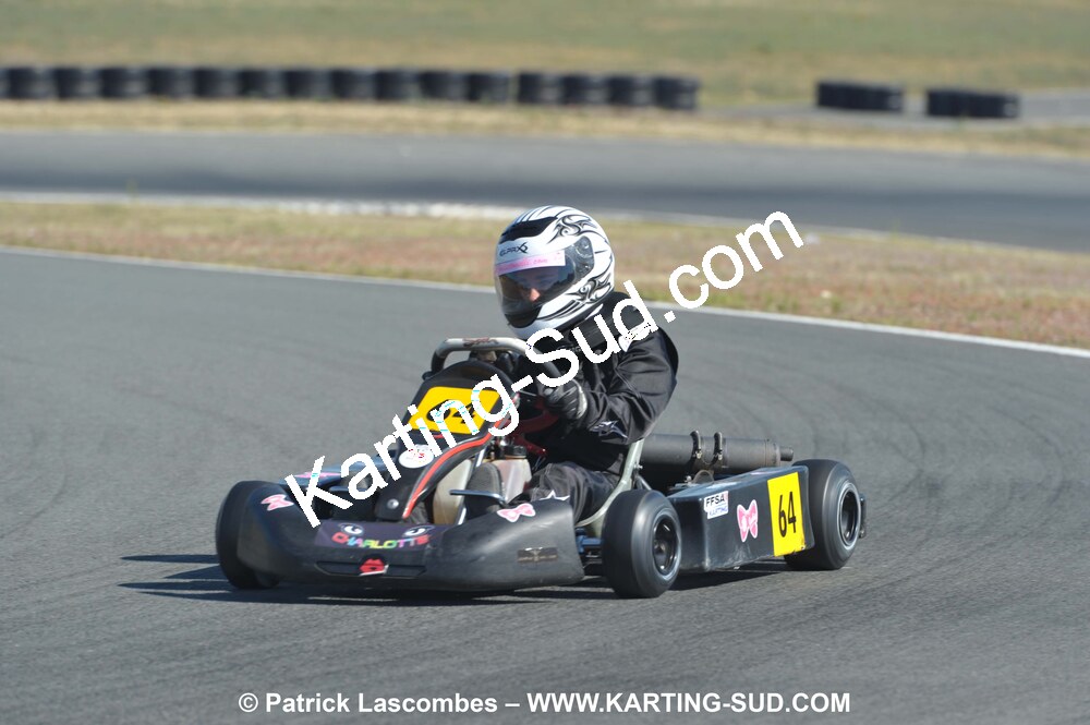 05/09/2010 : 5ème manche du Championnat Régional Open Atlantique 2010 à Layrac (photos Patrick Lascombes) 2010 — karting