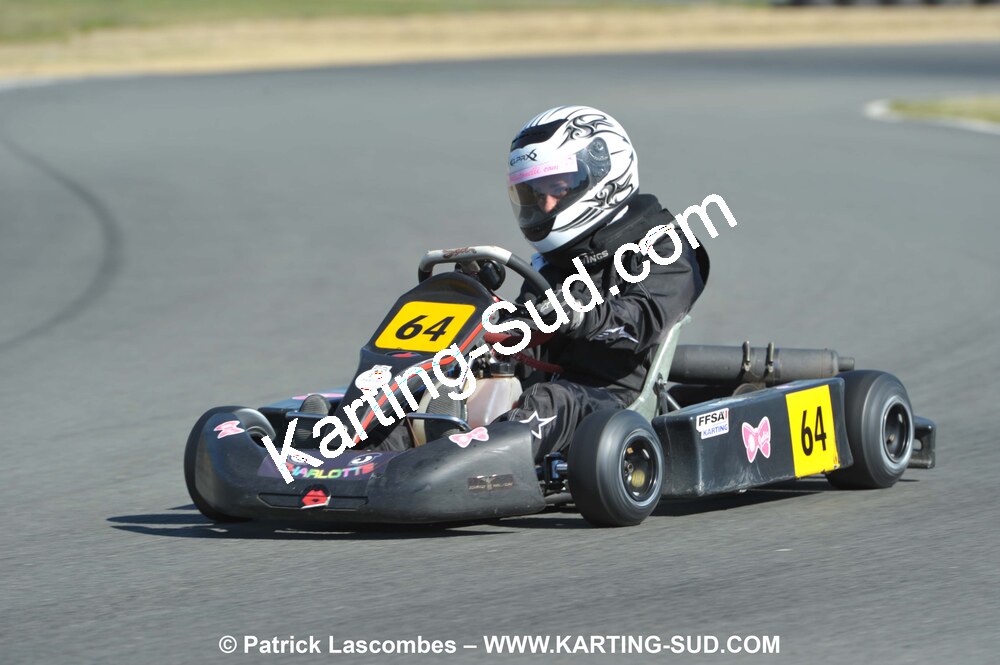 05/09/2010 : 5ème manche du Championnat Régional Open Atlantique 2010 à Layrac (photos Patrick Lascombes) 2010 — karting