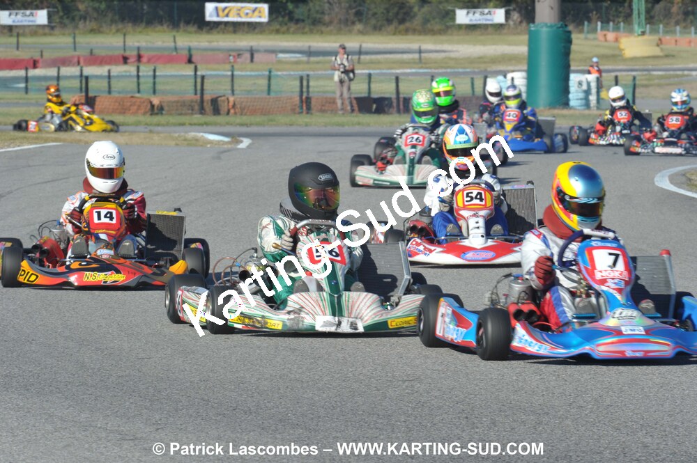 DSC_3978.JPG