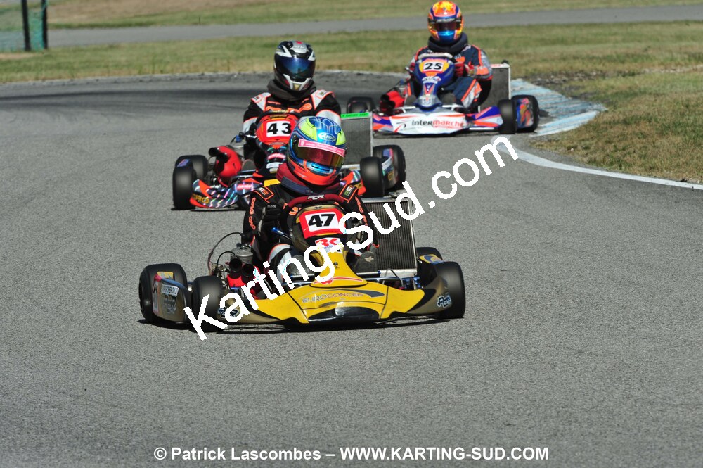 DSC_4571.JPG
