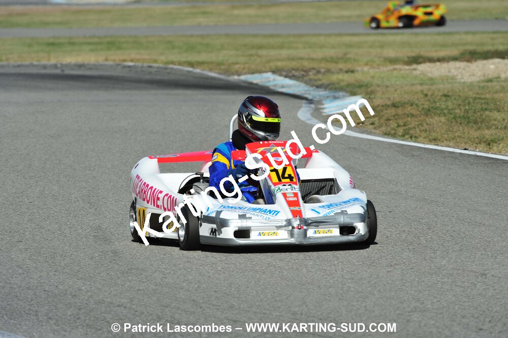 DSC_4784.JPG