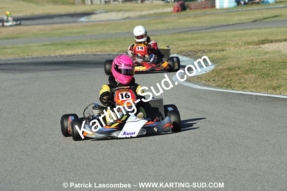 DSC_5272.JPG