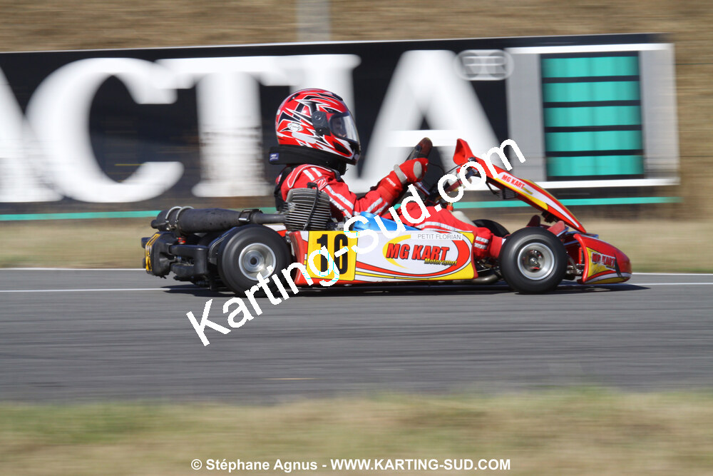 IMG_8737.JPG
