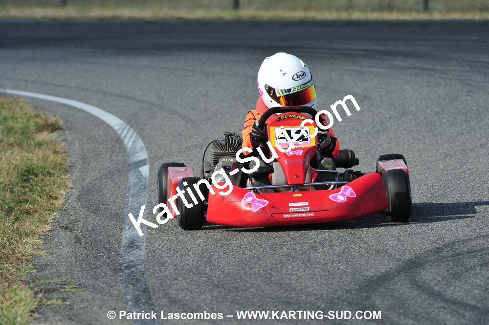 26/09/2010 : 6ème manche du Championnat Régional Open Atlantique 2010 à Muret (photos Patrick Lascombes) 2010 — karting