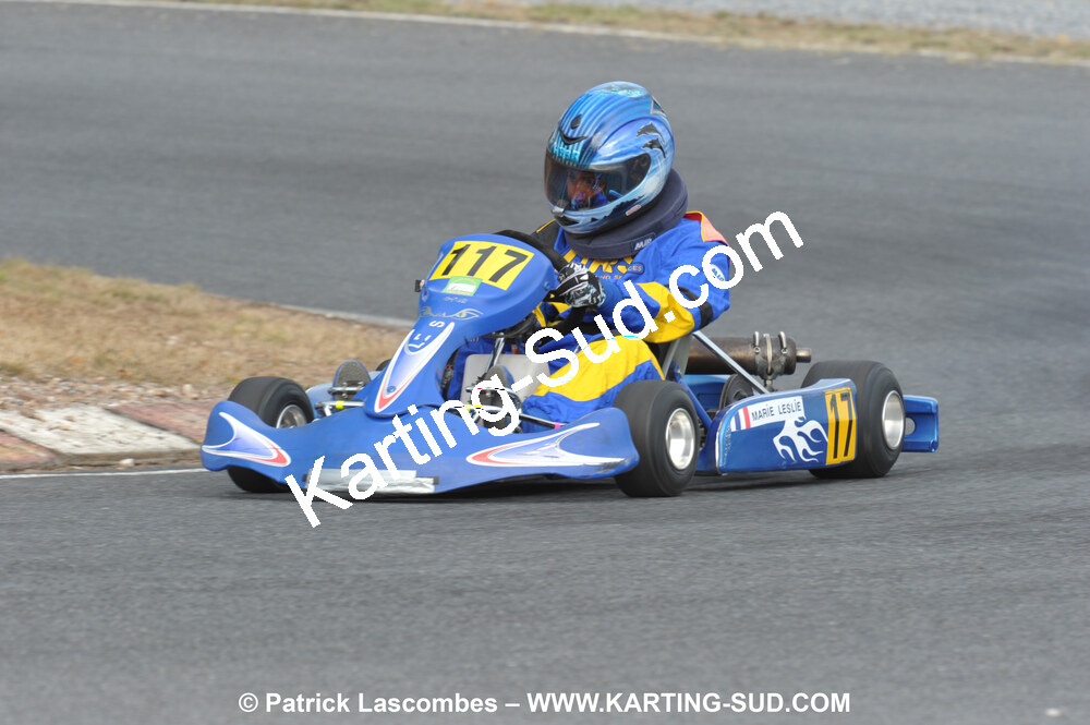 03/10/2010 : 4ème manche du Championnat du Sud 2010 à Belmont sur Rance (photos Patrick Lascombes) 2010 — karting