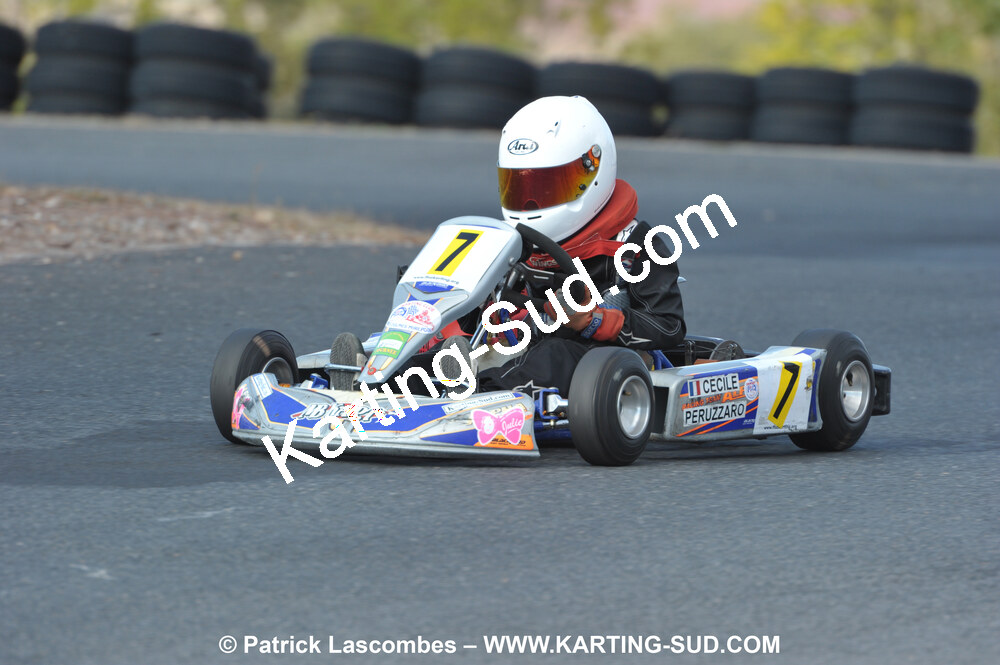 03/10/2010 : 4ème manche du Championnat du Sud 2010 à Belmont sur Rance (photos Patrick Lascombes) 2010 — karting