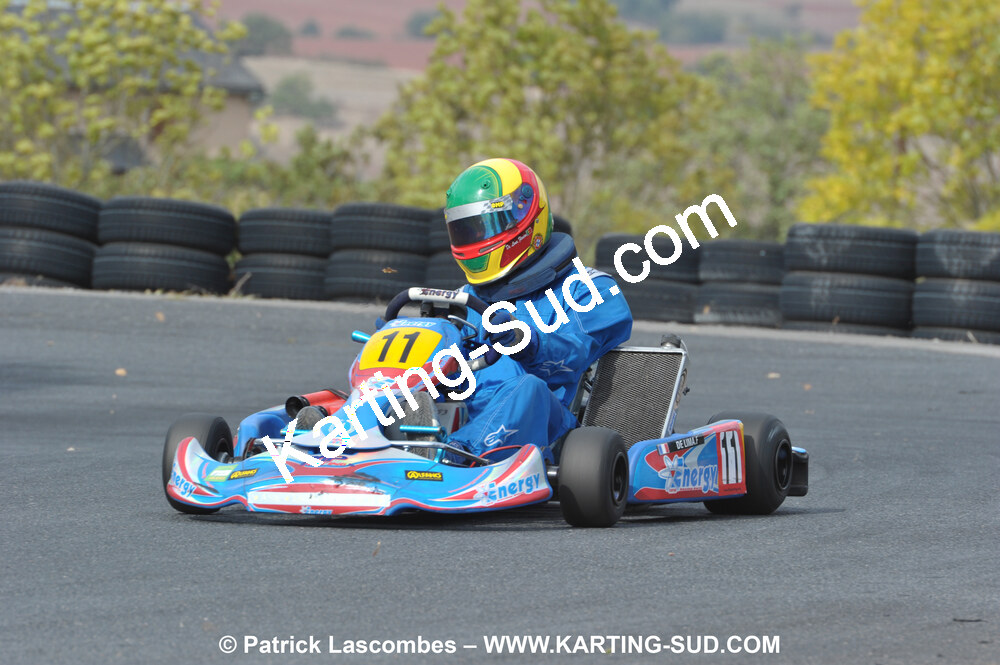 DSC_7378.JPG