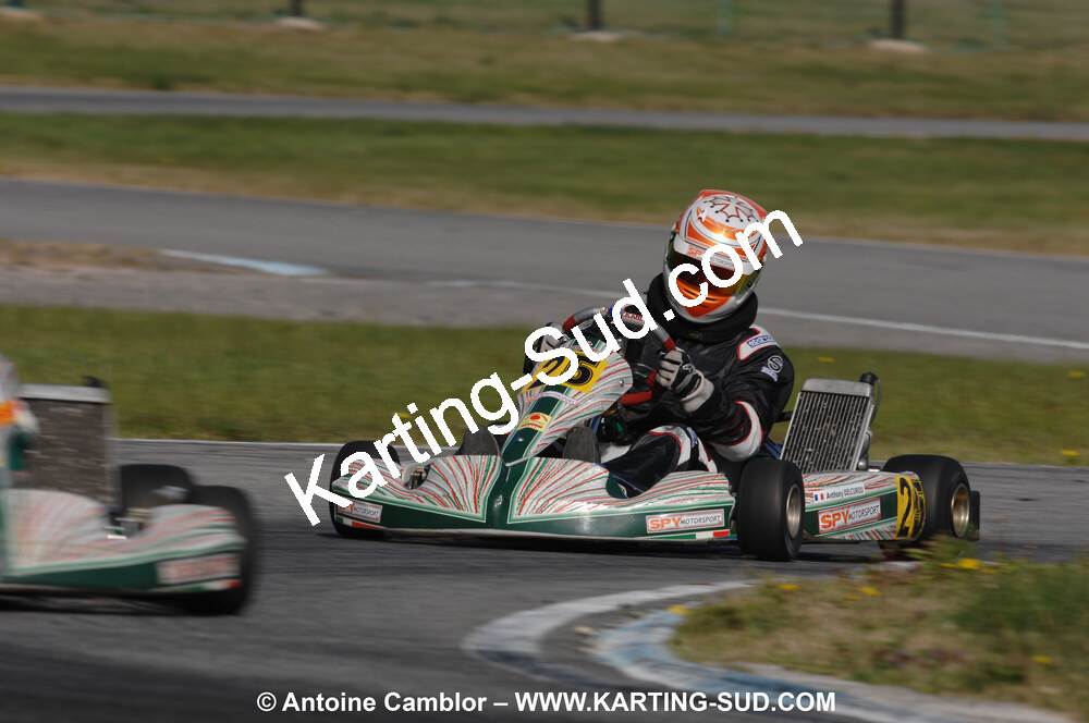 DSC_0101.JPG