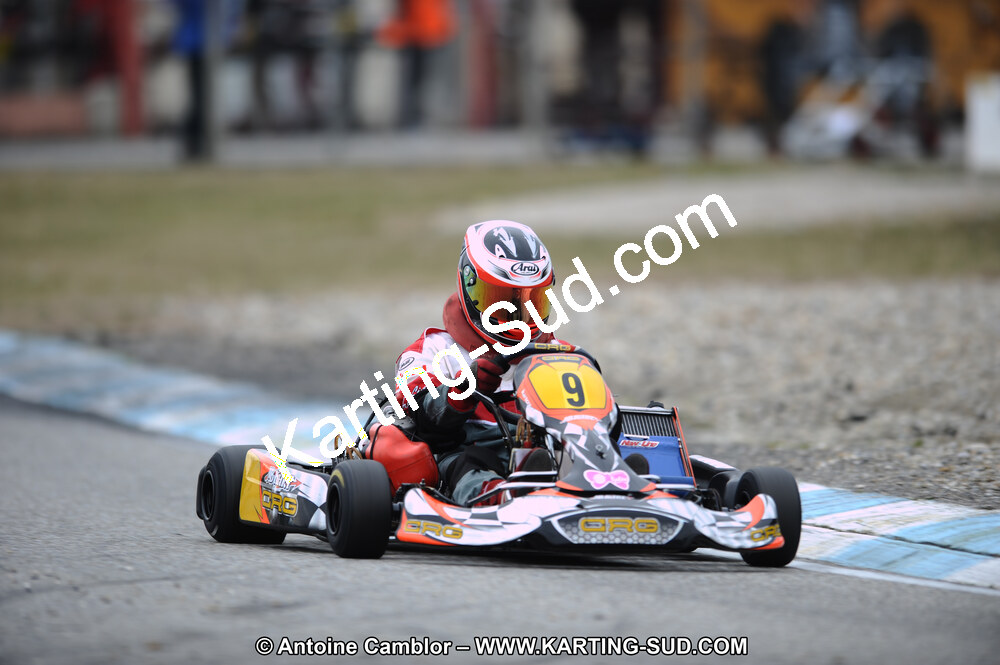 DSC_8531.JPG