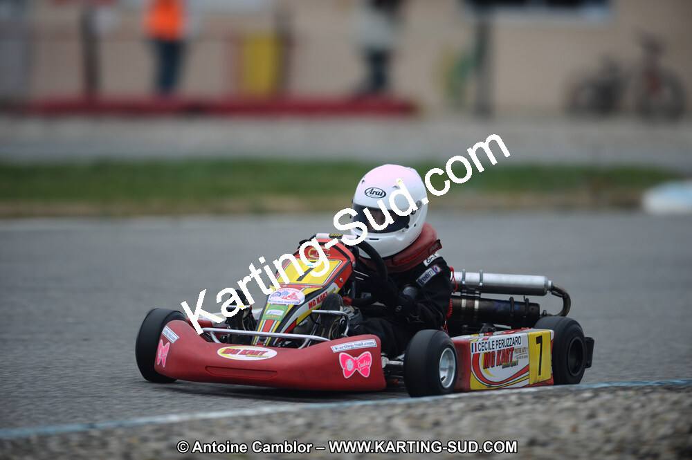 DSC_8593.JPG