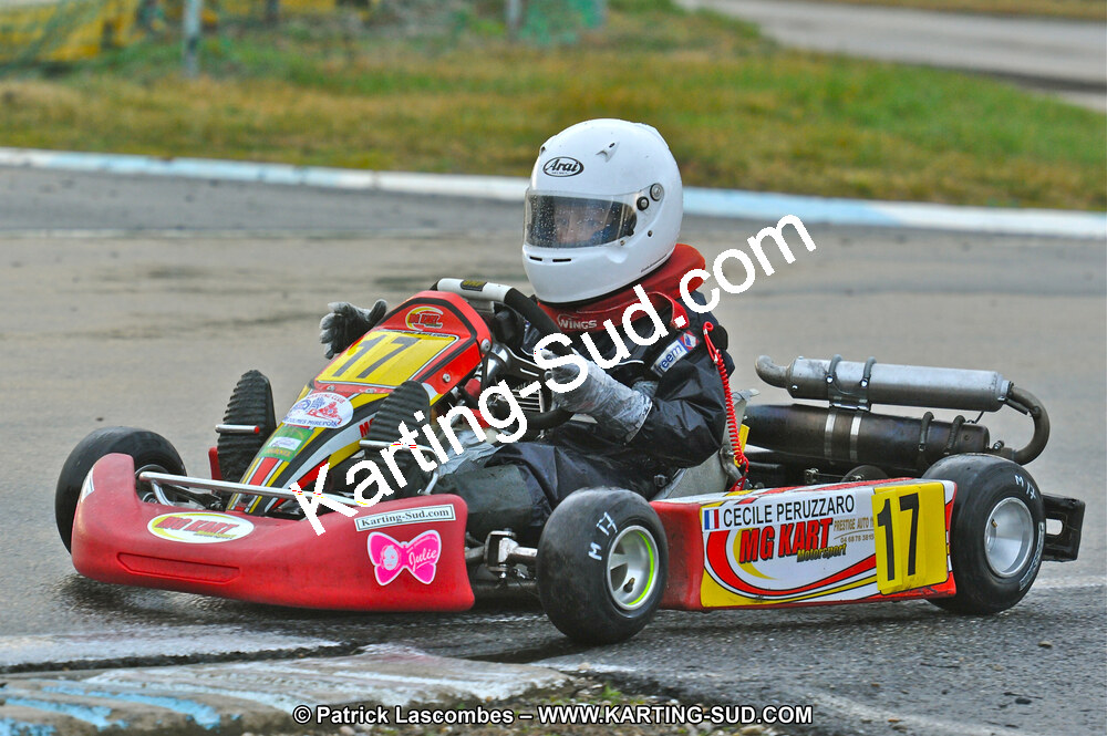 27/02/2011 : 1ère manche du Trophée Vincent Sanchez à Lavelanet (Photos Patrick Lascombes) 2011 — karting