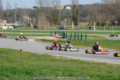 20/03/2011 : 1ère manche du Championnat du Sud à Lavelanet (Photos Antoine Camblor) 2011 — karting