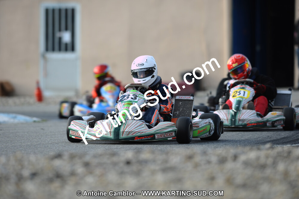 DSC_6537.JPG