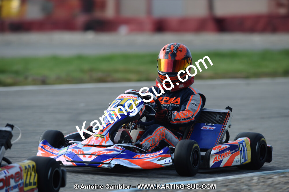 DSC_6627.JPG