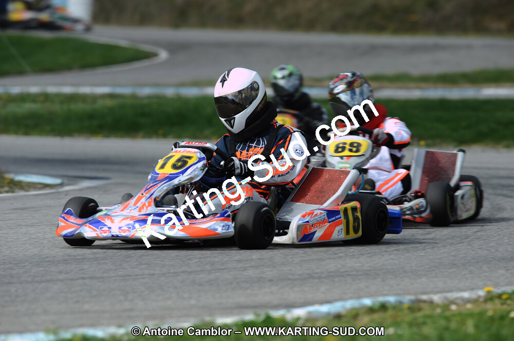 DSC_7631.JPG