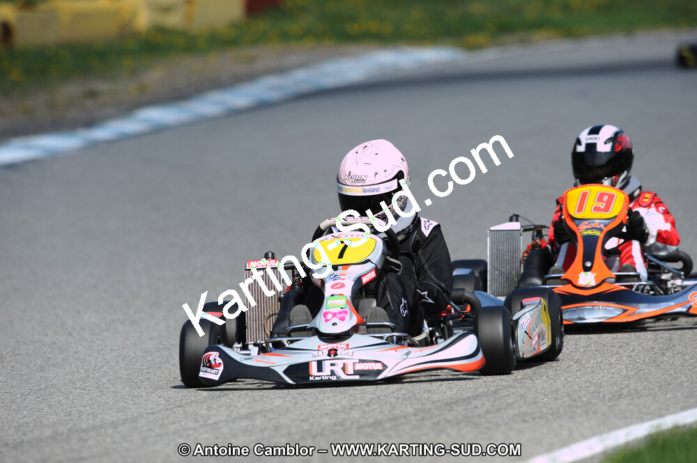 DSC_7987.JPG