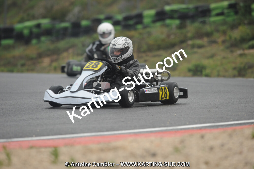 DSC_2208.JPG