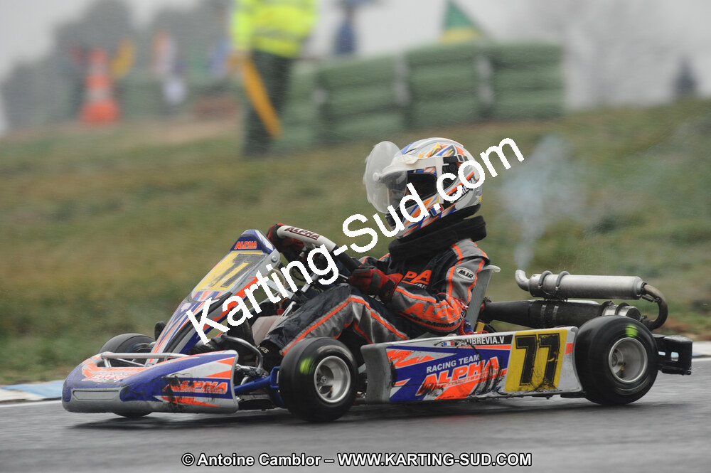 DSC_2310.JPG