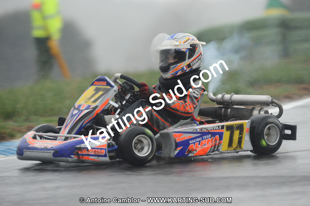 DSC_2351.JPG