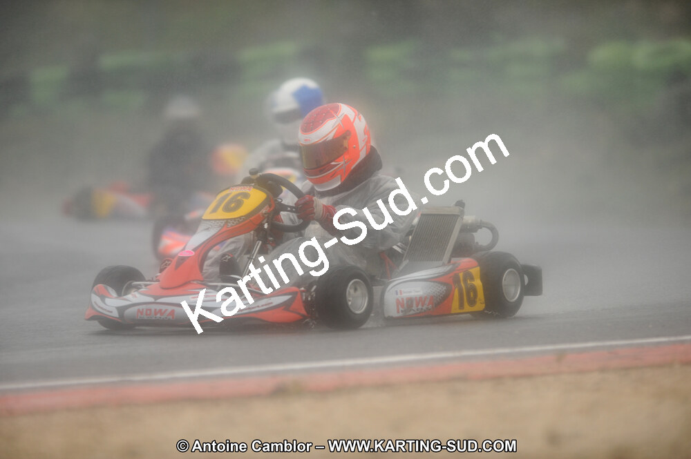 DSC_2439.JPG