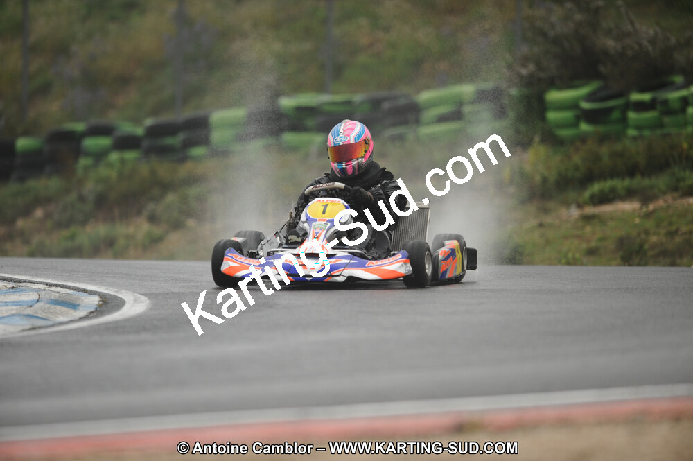 DSC_2446.JPG