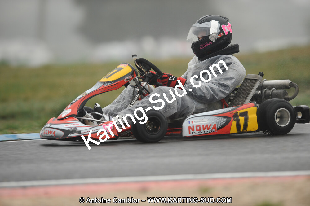 DSC_2541.JPG