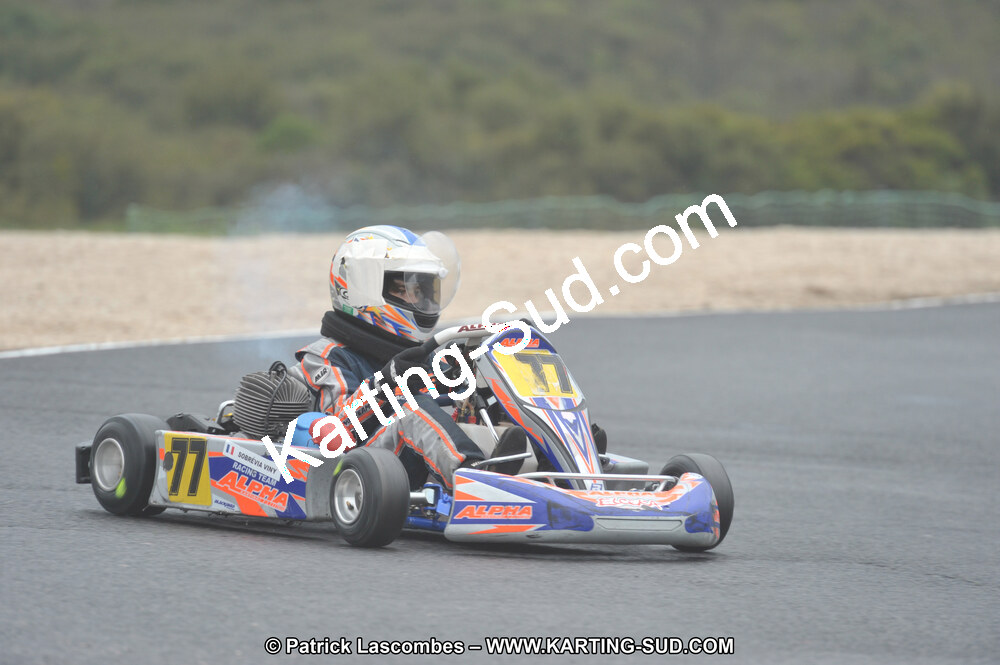 DSC_1230.JPG