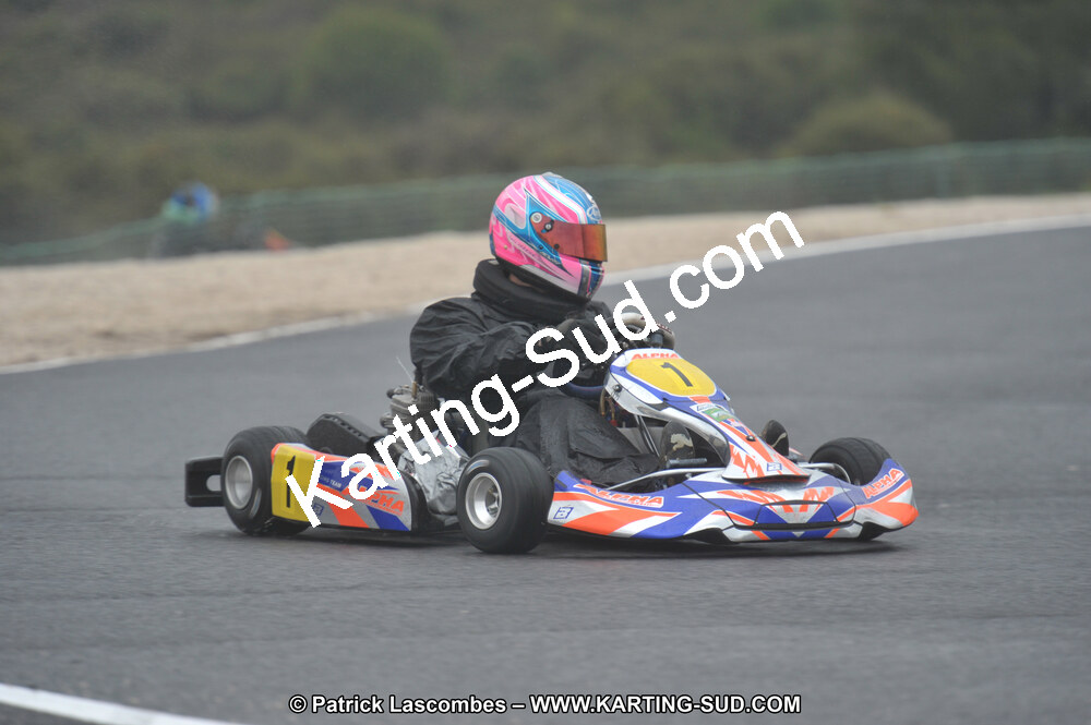 DSC_1243.JPG