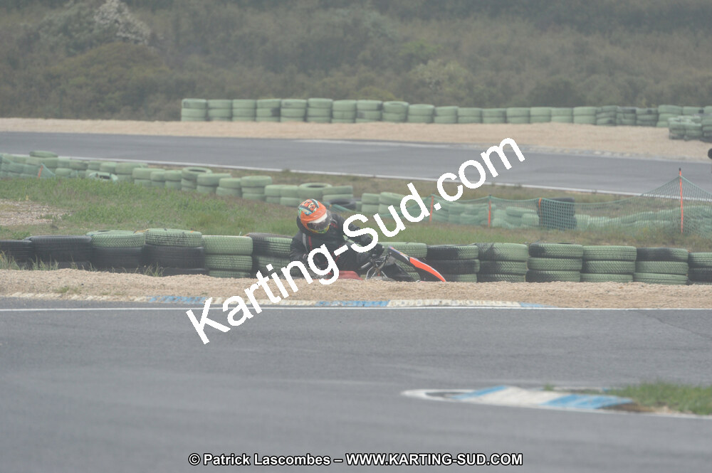 DSC_1585.JPG